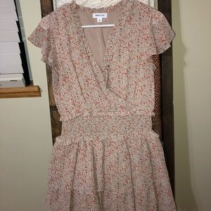 Ash and ash boutique dress